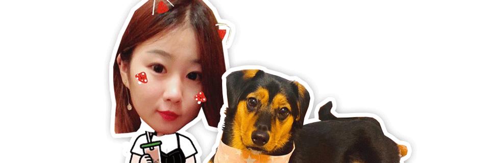 辟谣：狗狗尿频尿急尿不尽并非占地盘，多半是膀胱炎惹的祸