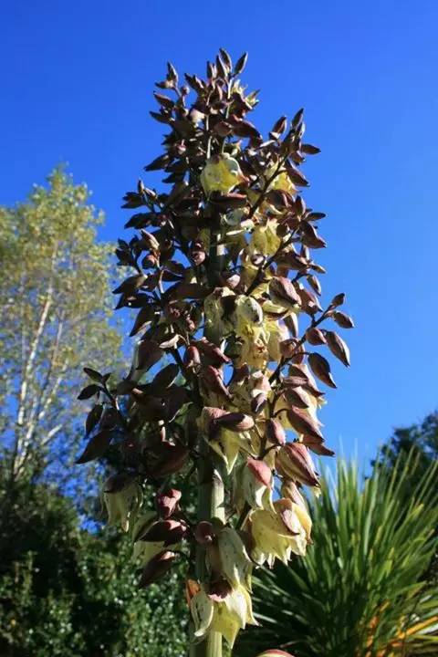 英国家庭花园建造,英国夫妇22年打造梦幻花园