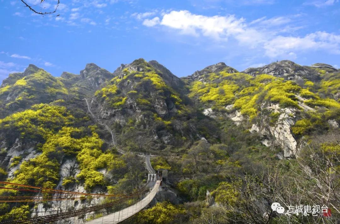 鍖绘姢浜哄憳鎶楀嚮鐤儏杞紤,绂瑰窞鐤儏鍖绘姢浜哄憳杞紤