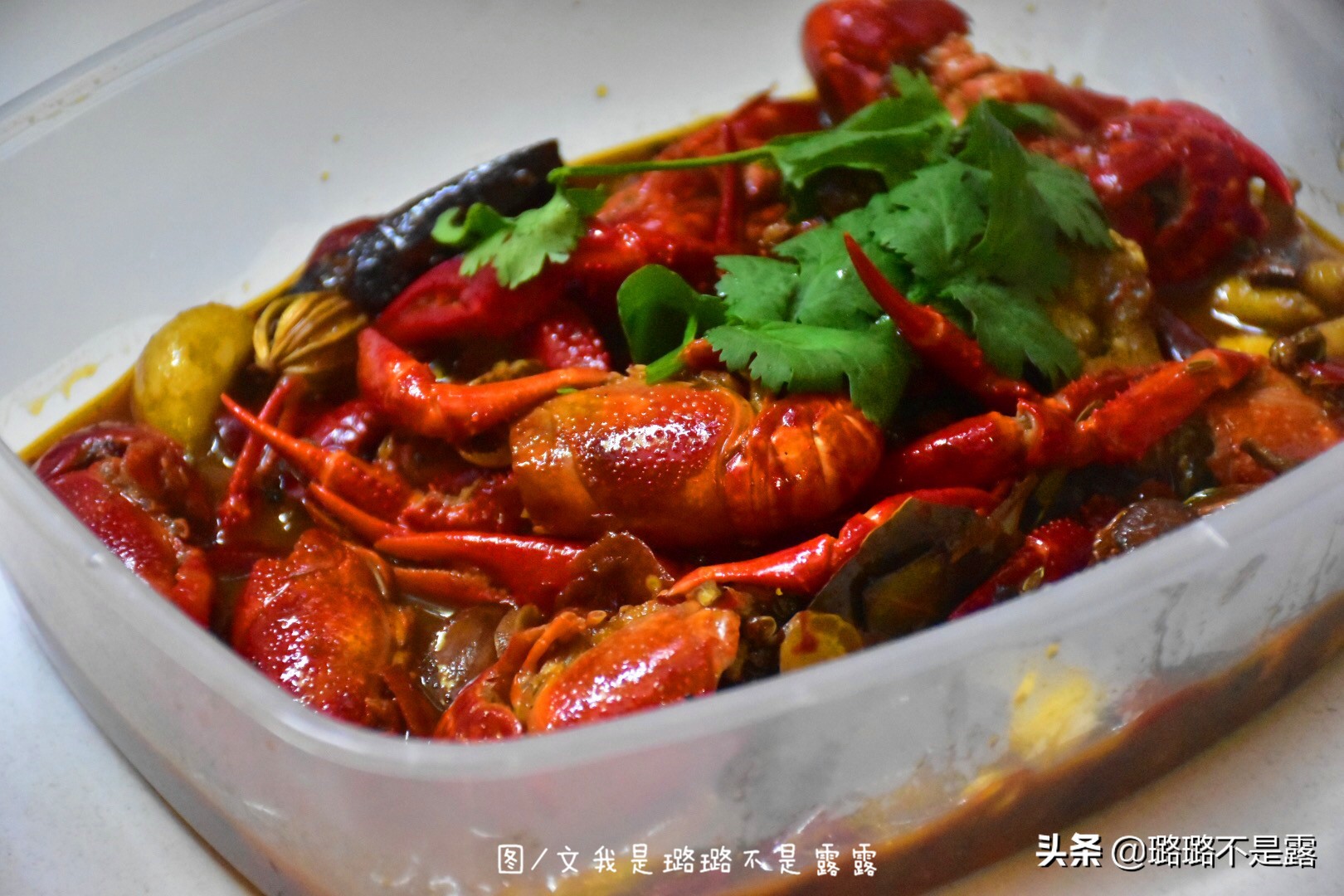 检验鱼最好的方法,怎样鉴别鱼是否是健康的