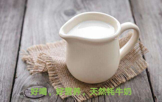 牦牛奶饼干的营养价值,营养价值最高的牦牛奶品牌