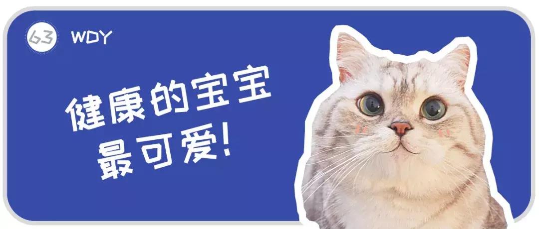 猫咪耳螨和猫癣的预警,辟谣猫咪寄生虫