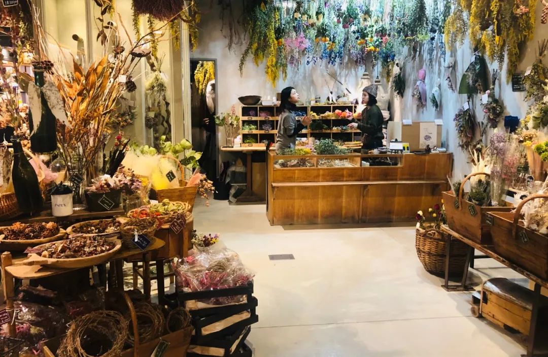 福冈的真实生活,福冈生活常识