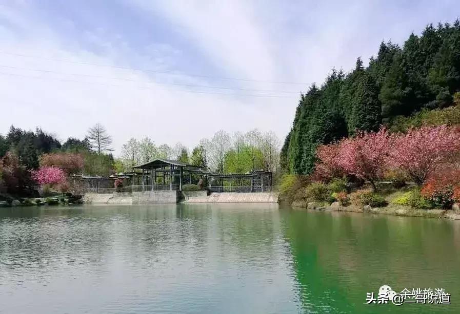 浙江看日本樱花最佳地方,浙江赏樱花最佳地排行榜