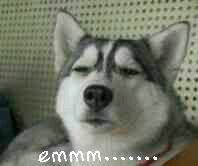 浅谈周易预测术:生辰八字