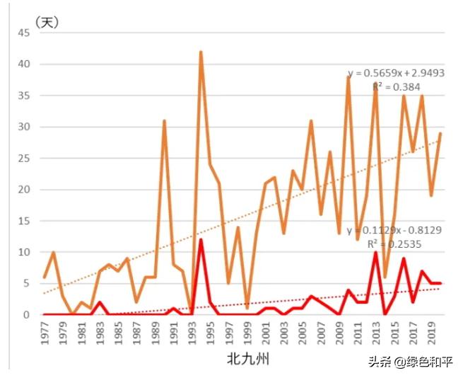 东京奥运会最意外的金牌,今年东京奥运会创造了哪些纪录