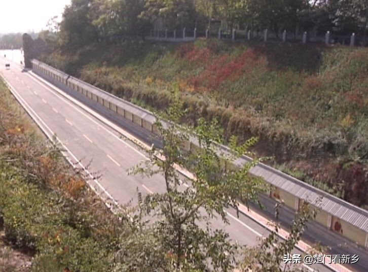 凤凰山公园的建设方案,凤凰山公园改造最新消息