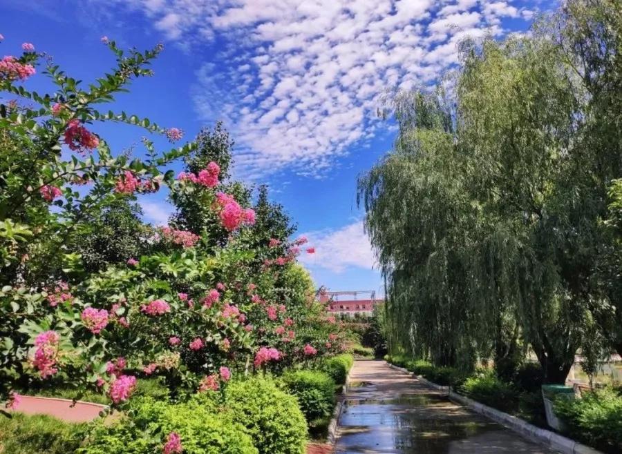 西南第一专科学院,四川汽车类位次7200单招学校推荐