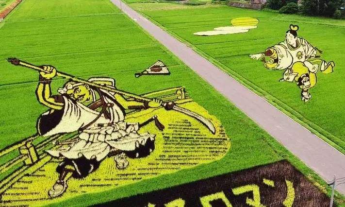 日本除了小农经济发达之外，从农业发展情况来看，并不乐观？