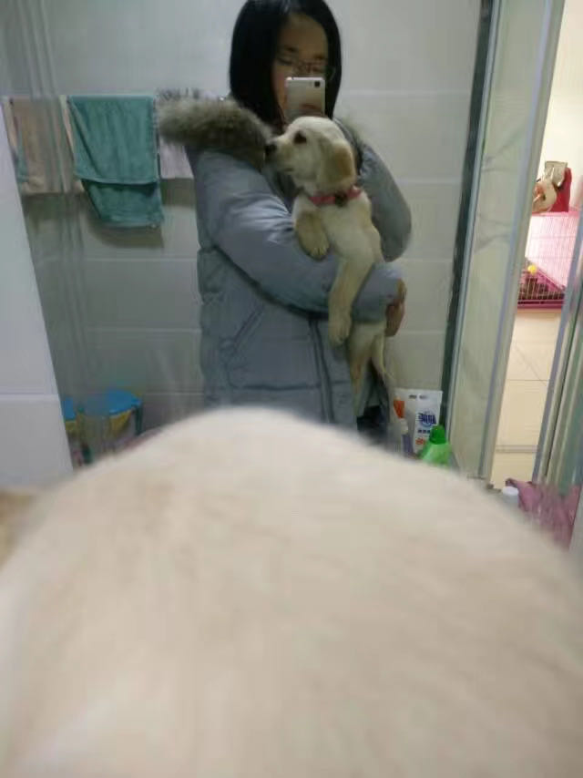 对不起我又想你了,对不起我又想你啦完整