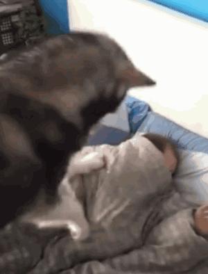 为什么便利贴的胶那么容易撕下来？