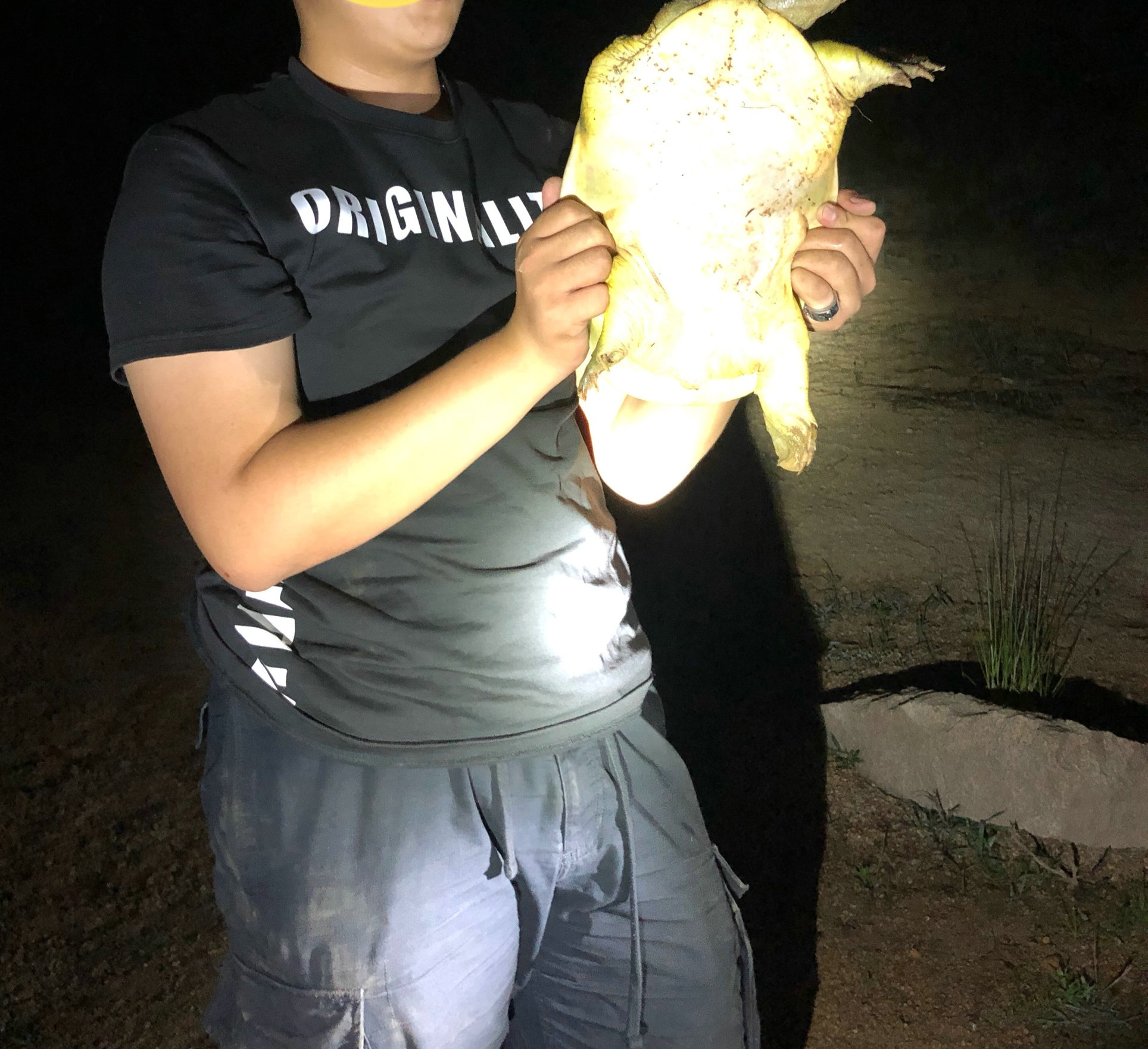 钓鱼人钓到鳖,南阳一46斤百年巨鳖上岸被捉