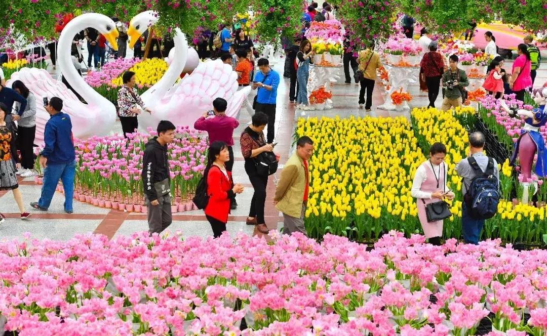 广州三八妇女节特惠景点晚上,广州哪里有三八妇女节免费景点