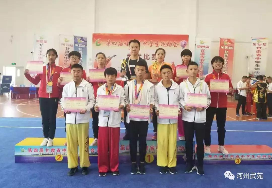 武术全运会比赛冠军,临夏市武术比赛