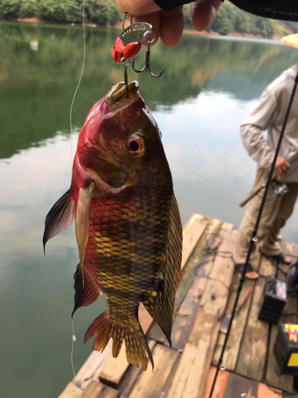 国内路亚饵热门,国内路亚饵崛起