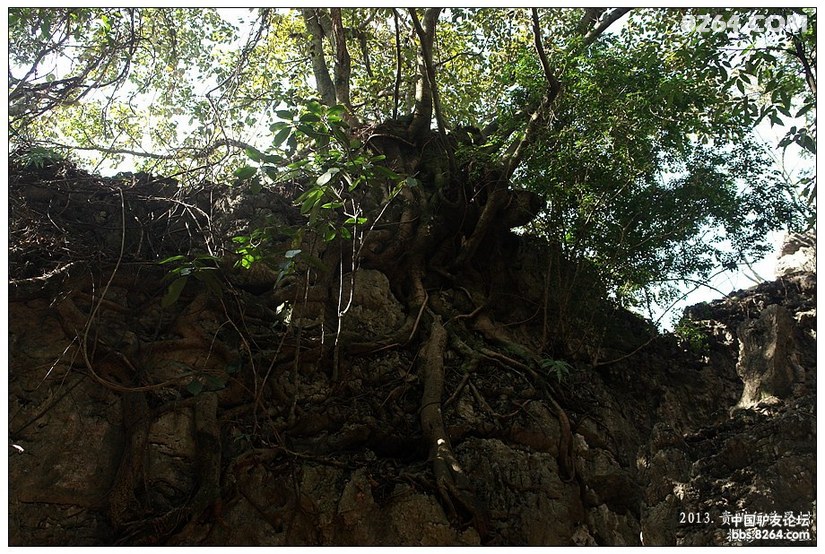黄果树景区天星桥有没有必要去,贵州黄果树天星桥景区人山人海