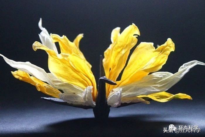 用折纸怎么才能折出千纸鹤,千纸鹤神仙叠法