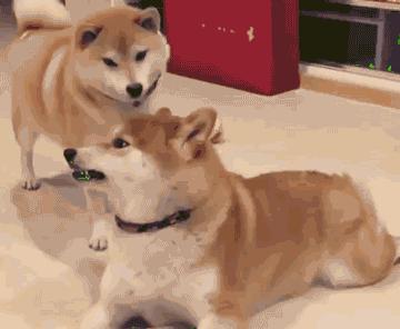 看了整整七分钟，他们最终还是上去了