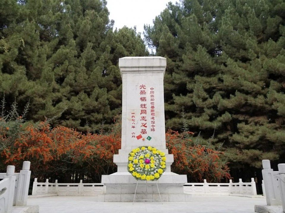 巴基斯坦政治环境,巴基斯坦外交地位