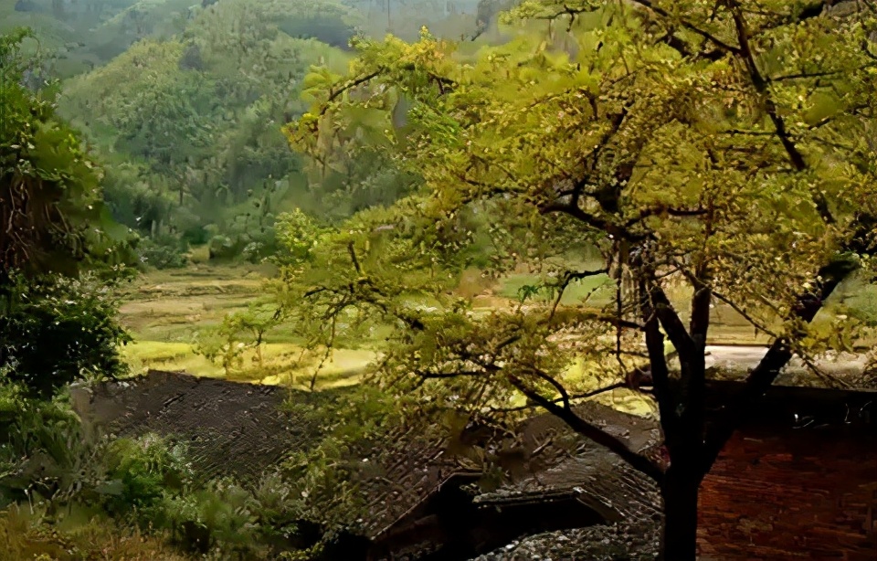 三明有哪些好玩的旅游景点,三明市有哪些景点值得去