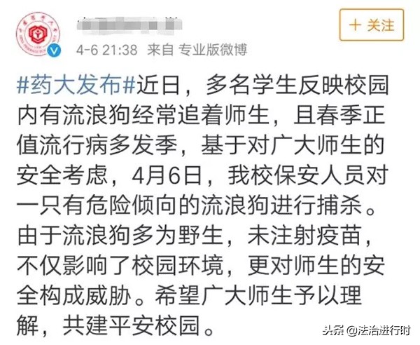 大学生宿舍养猪,当代大学生宿舍养猪的行为