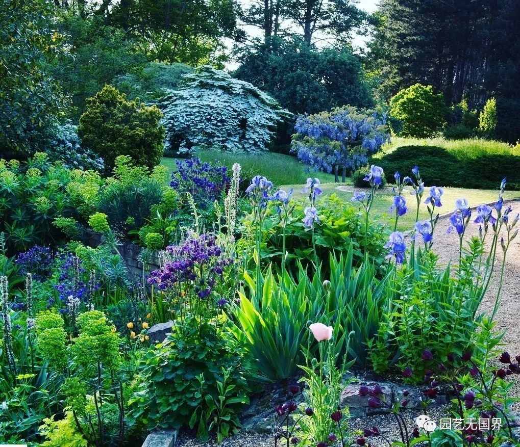 园子里的昆虫有多少,花园里的小动物哪些是昆虫