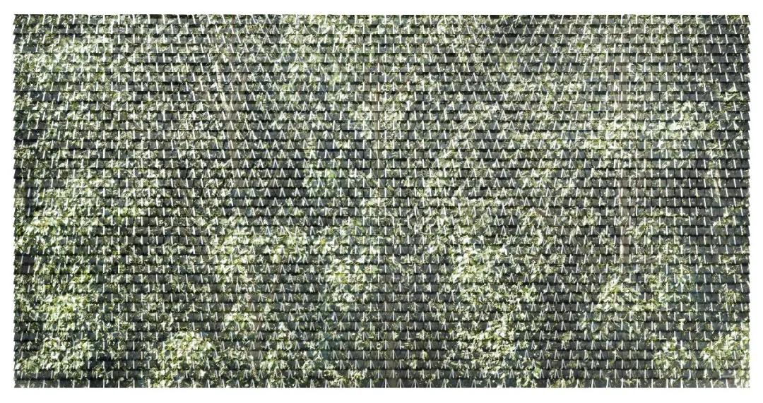 西岸艺术与设计博览会图,上海西岸艺术和设计博览会