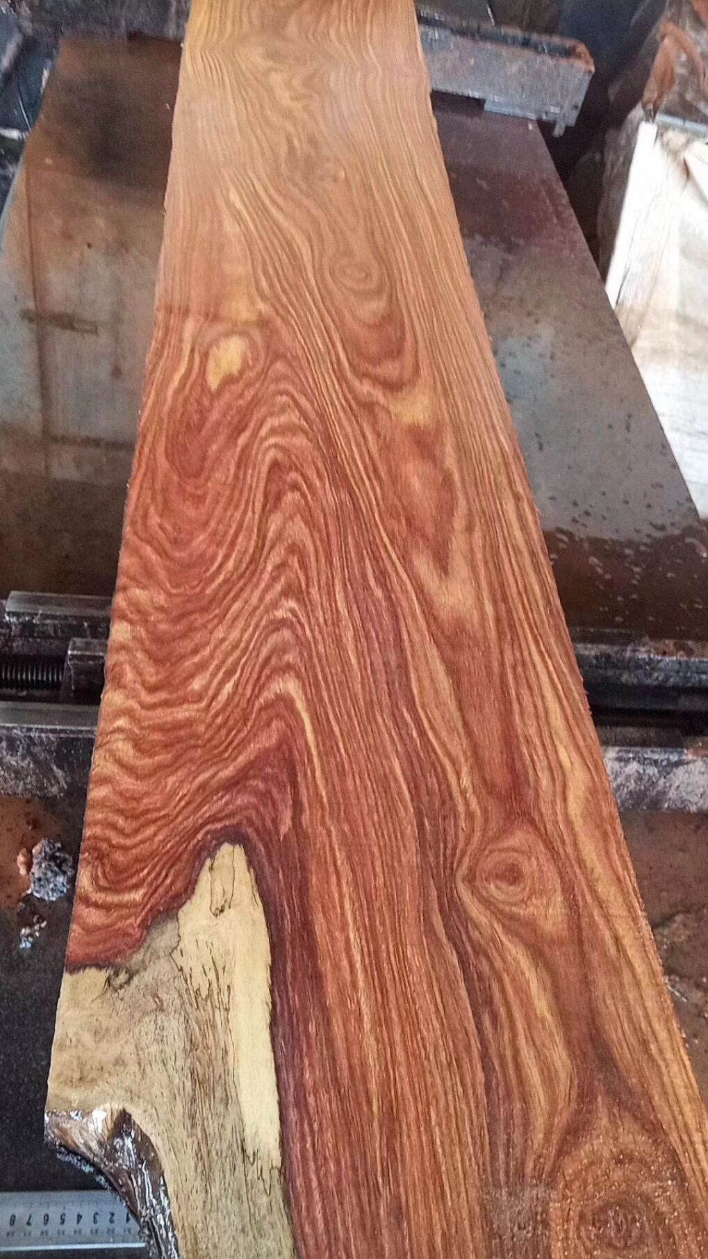 刺猬紫檀红木家具是什么档次,刺猬紫檀属高档家具吗