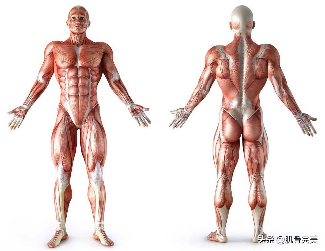 物理治疗技术学习,物理治疗师网络课程考试