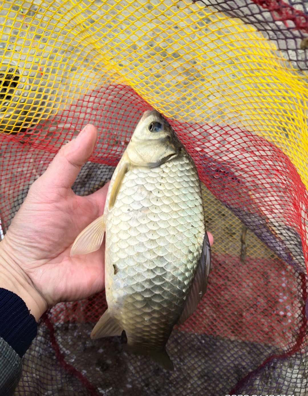 什么风向好钓鱼东南风钓鱼怎样,春夏交替钓鱼什么风向好钓鱼