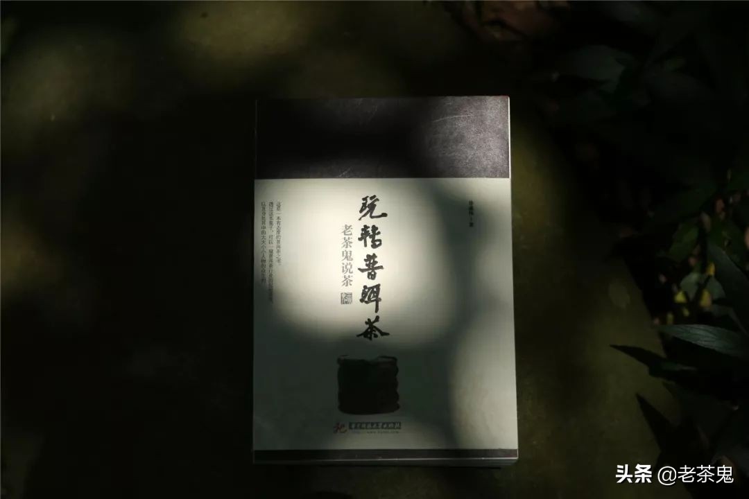 老鬼说茶玩转普洱茶,玩转普洱茶老茶鬼说茶