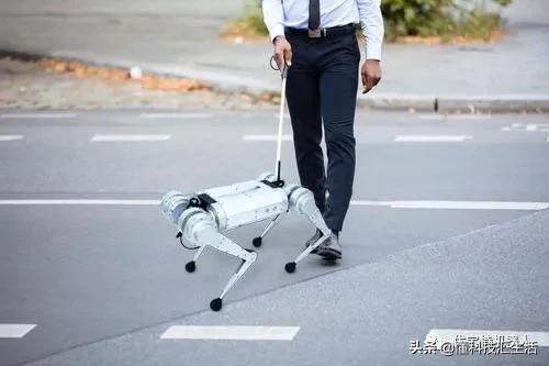 高端智能机器狗,wavego仿生机器狗