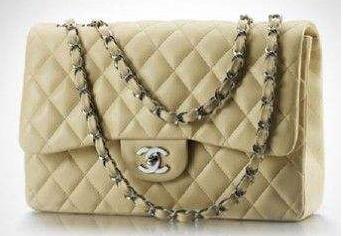 法国工程师治国,法国高级技术工程师