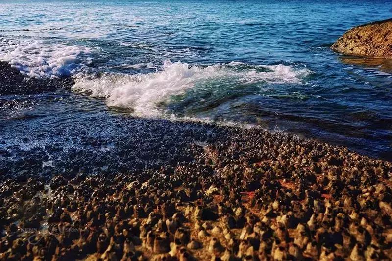 珠海外伶仃岛民宿,珠海外伶仃岛简介