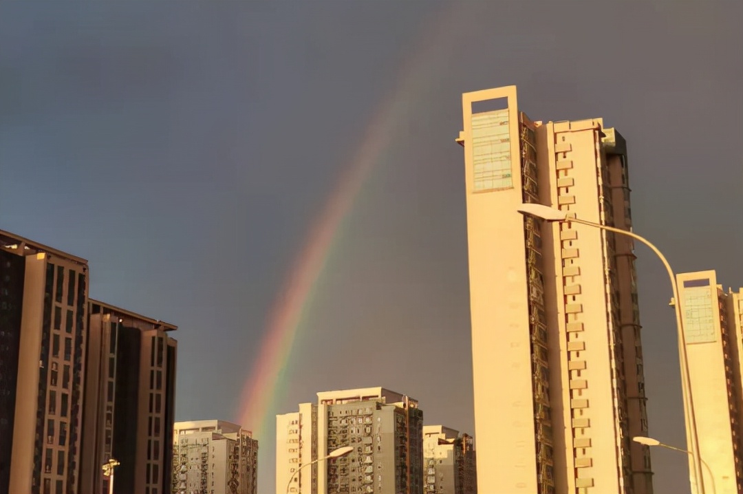 张明、刘瑶：如何通过金融手段助力实现共同富裕？