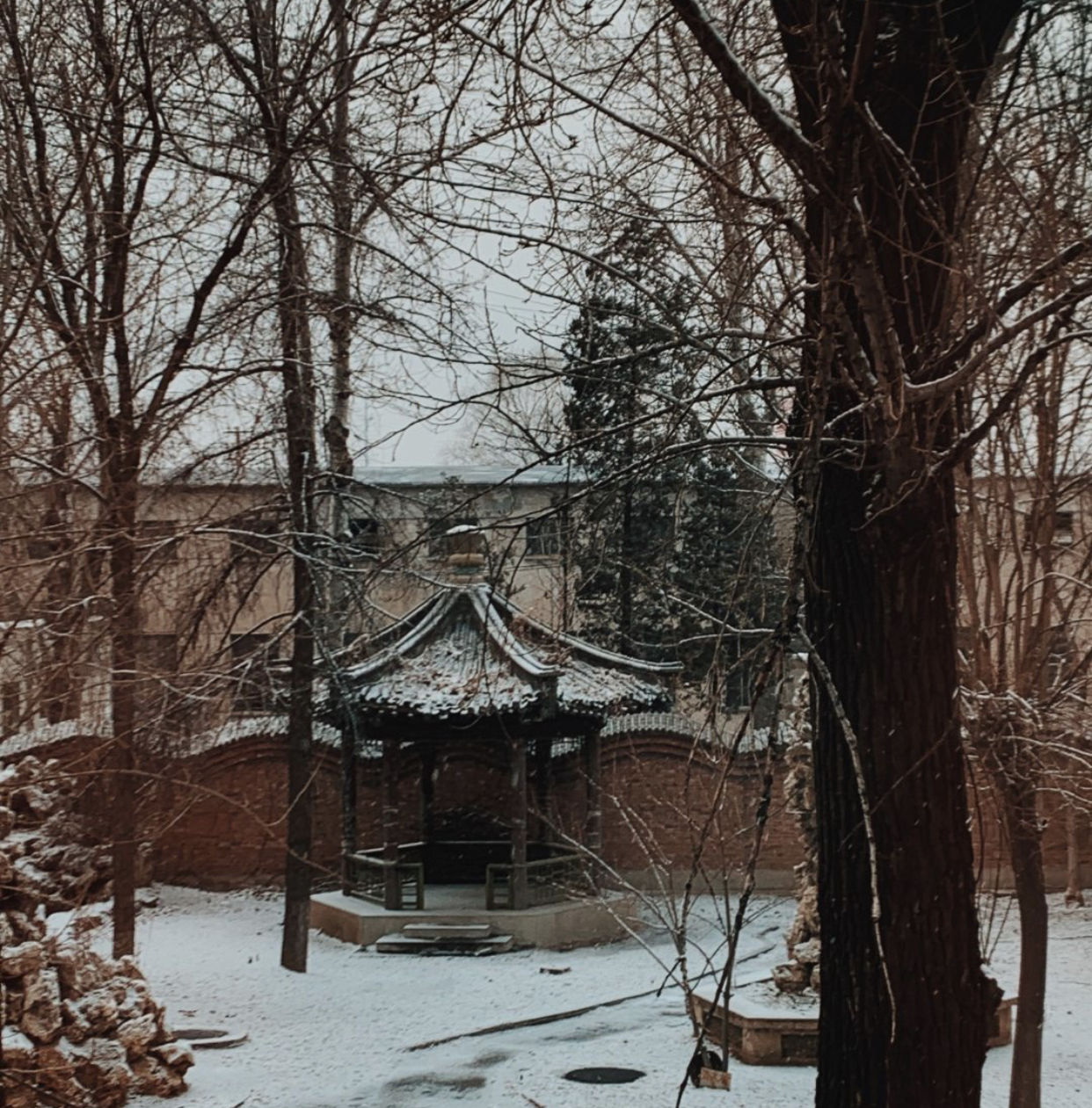 家里家外都收拾得井井有条,这是我见过最强收纳家具