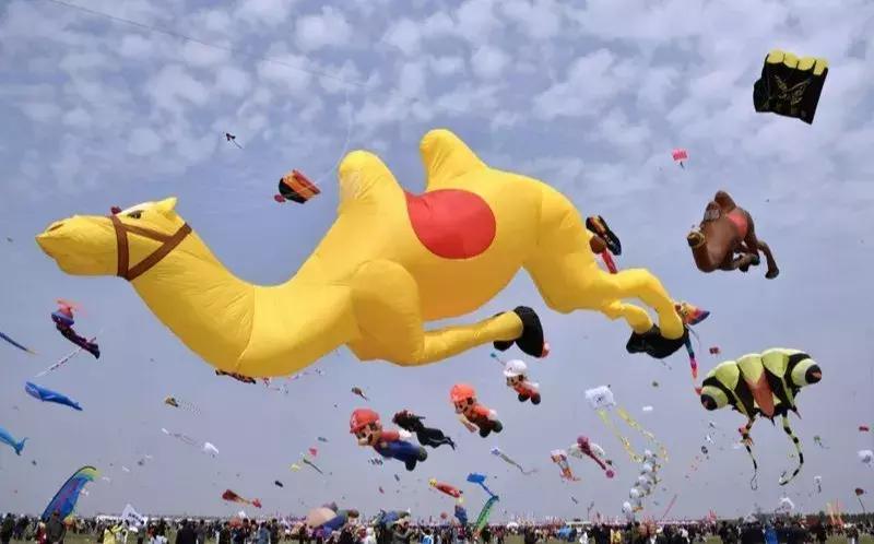 前方高能预警,前方高能预警有多高能