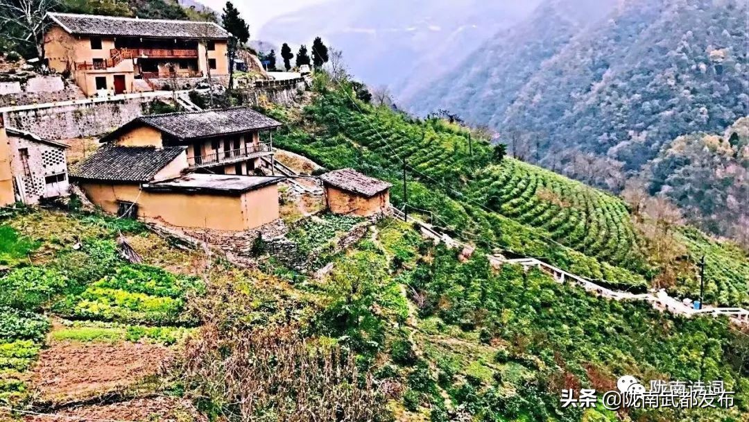 閲戠宄渤鍏洯,閲戠瑁曟渤鍥剧墖