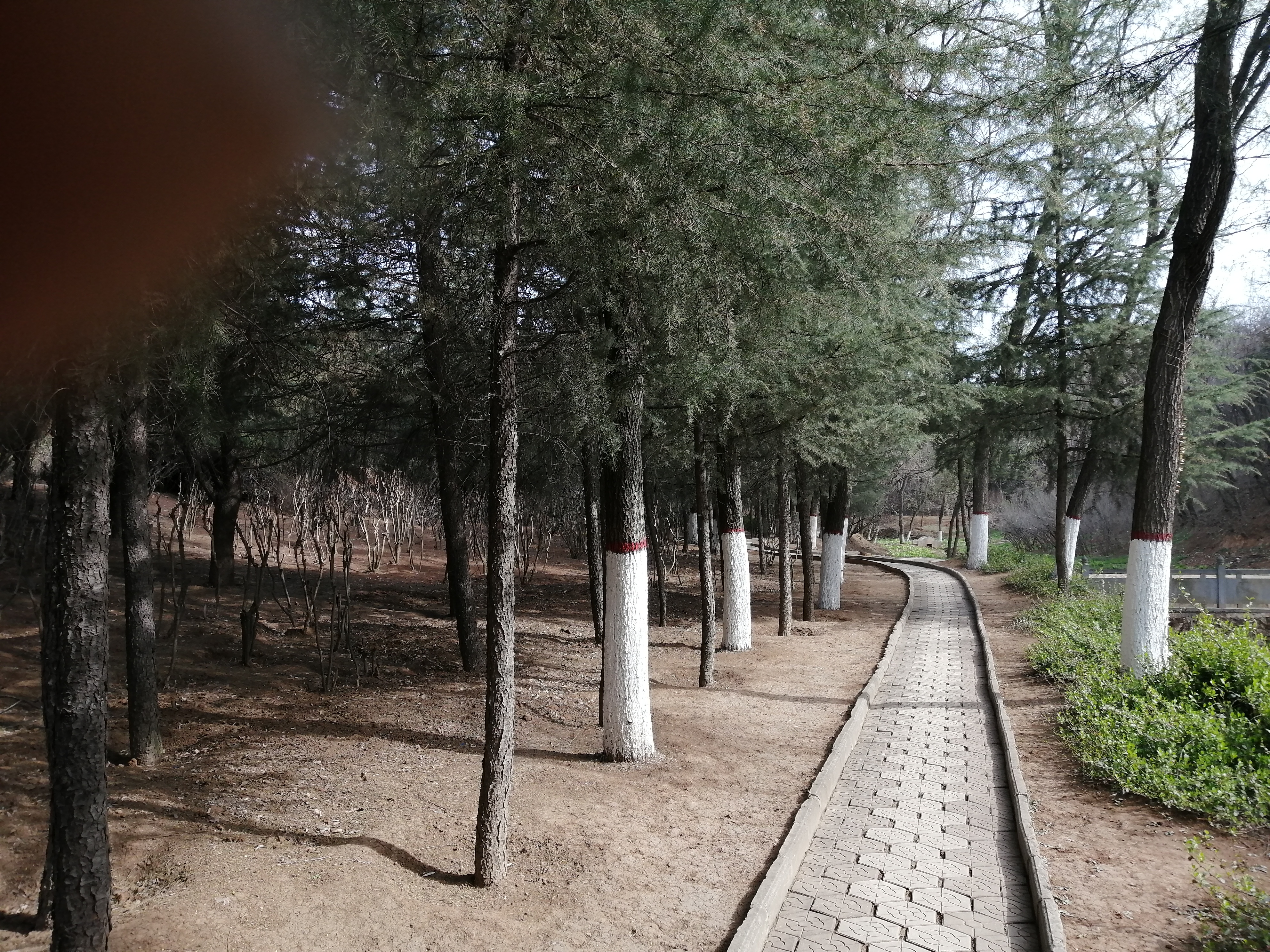 义马市新城区,宜居城市简介