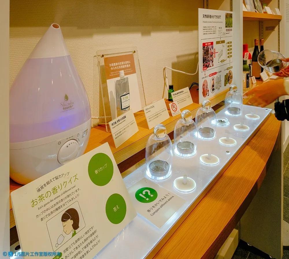 日本茶文化旅游,日本茶之都博物馆