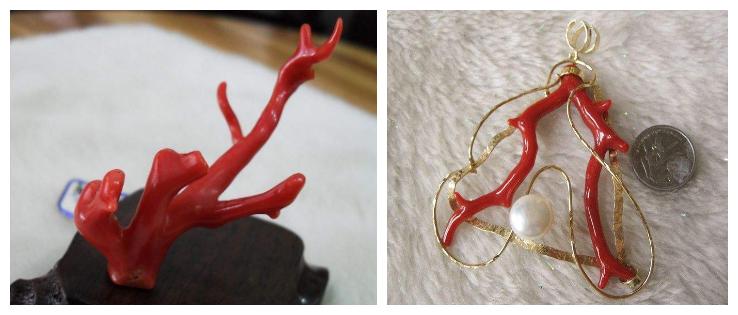 海底红珊瑚图片大全,千年珊瑚