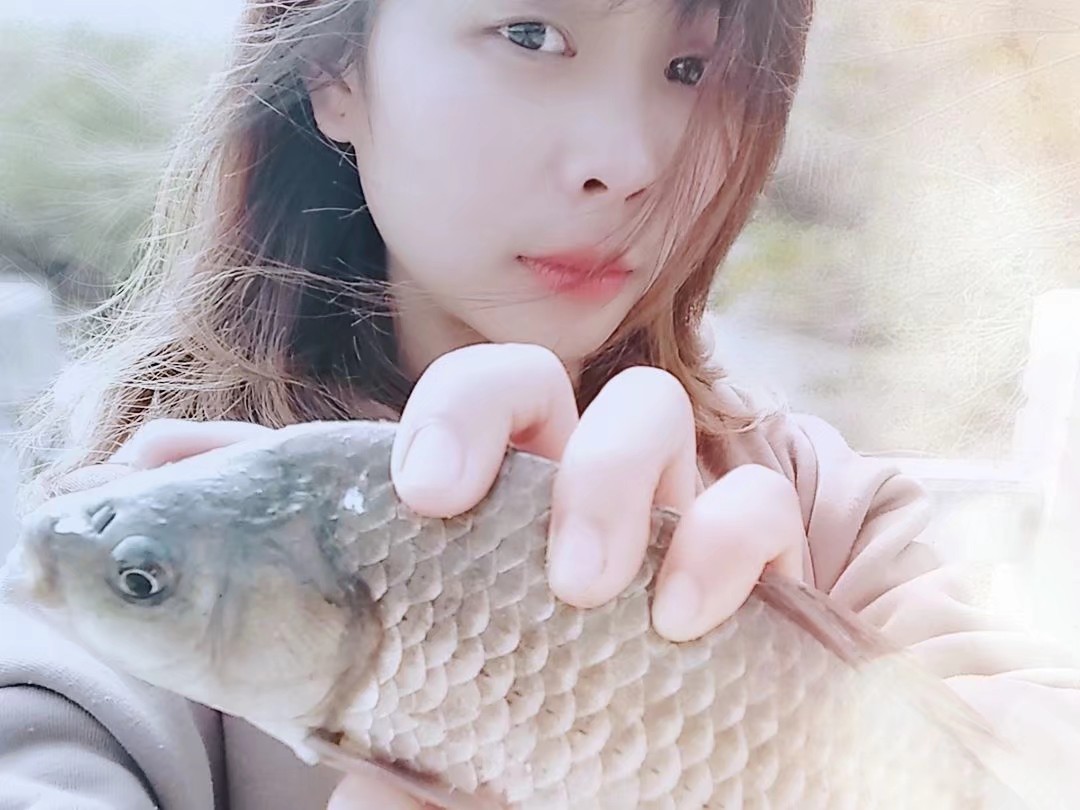 窝料说实话 (实战窝料)