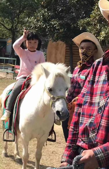 我的豆宝贝五岁生日快乐