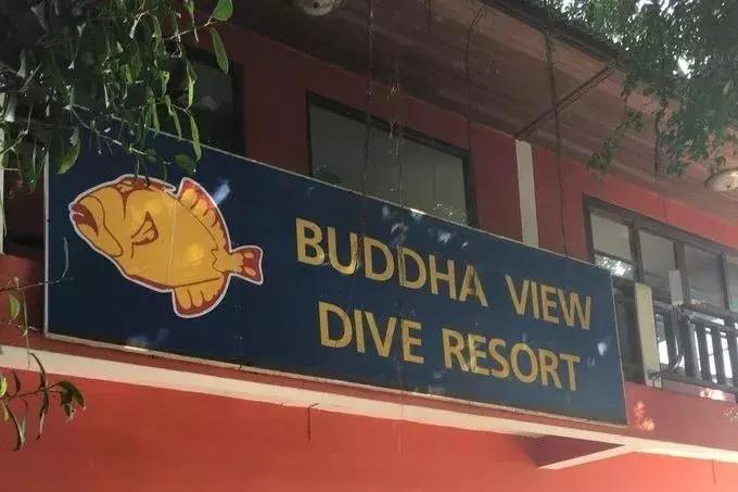 涛岛潜水好吗,去涛岛潜水