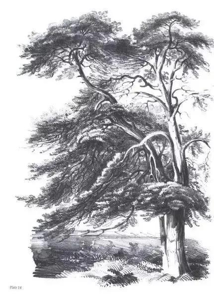 中学生20分钟风景速写临摹图片,速写风景怎么画得又快又好