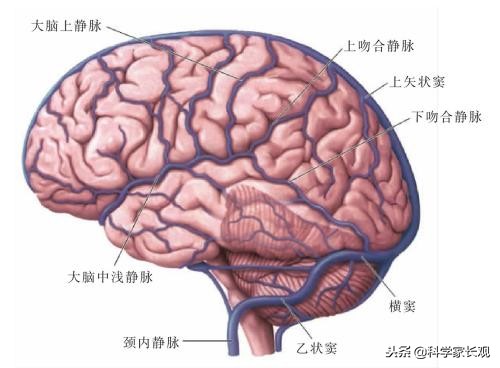 孩子一写作业就犯困?学霸妈妈实测有效的6种学习方法,看后收藏