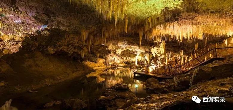 中国小伙独自一人荒野生活,中国男子荒野独居