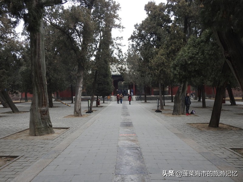 向经典致敬向传统致敬,向经典致敬弘扬传统文化