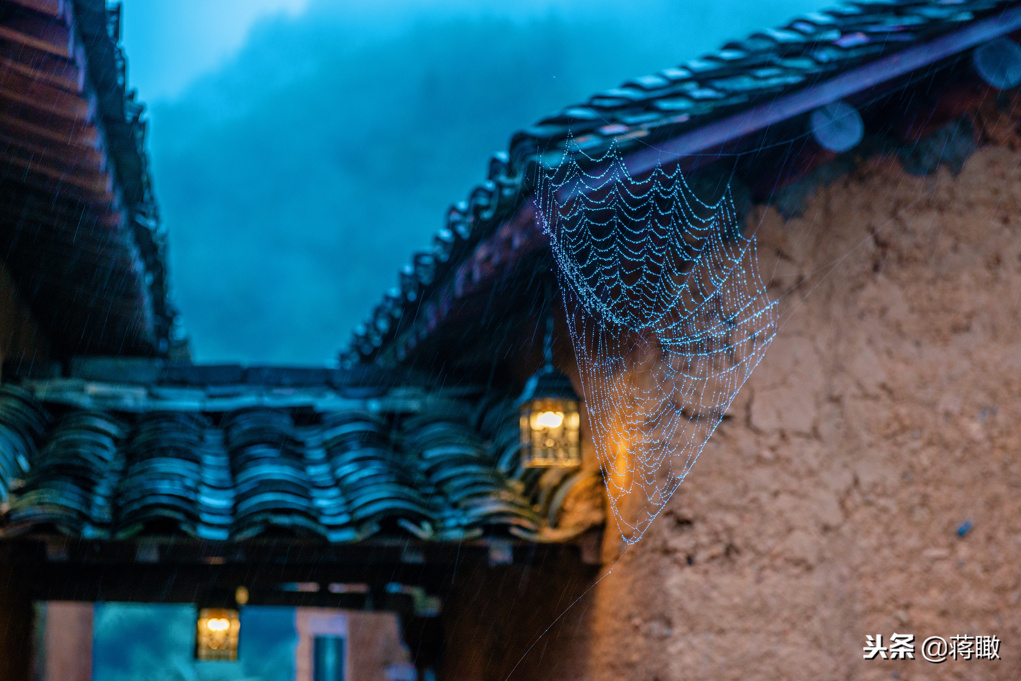 松阳,会是下一个理想国么?