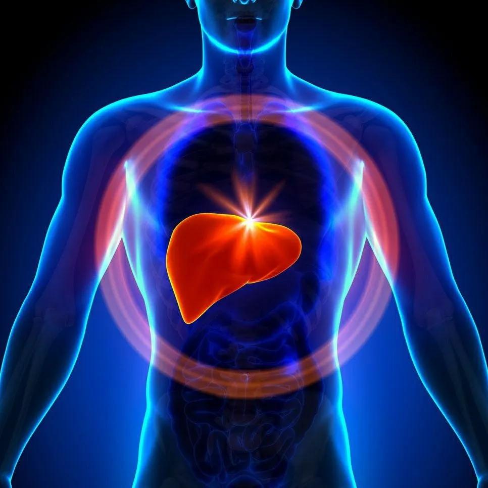 干细胞治疗失代偿期肝硬化,再生细胞能治愈乙肝吗